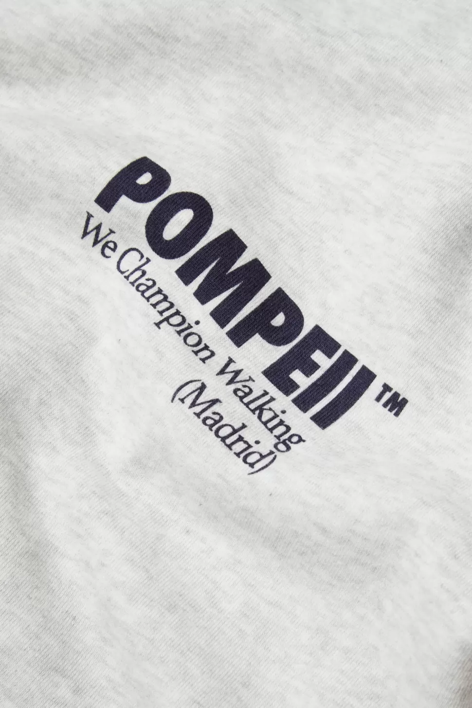 Sudaderas*POMPEII GREY CREW NECK