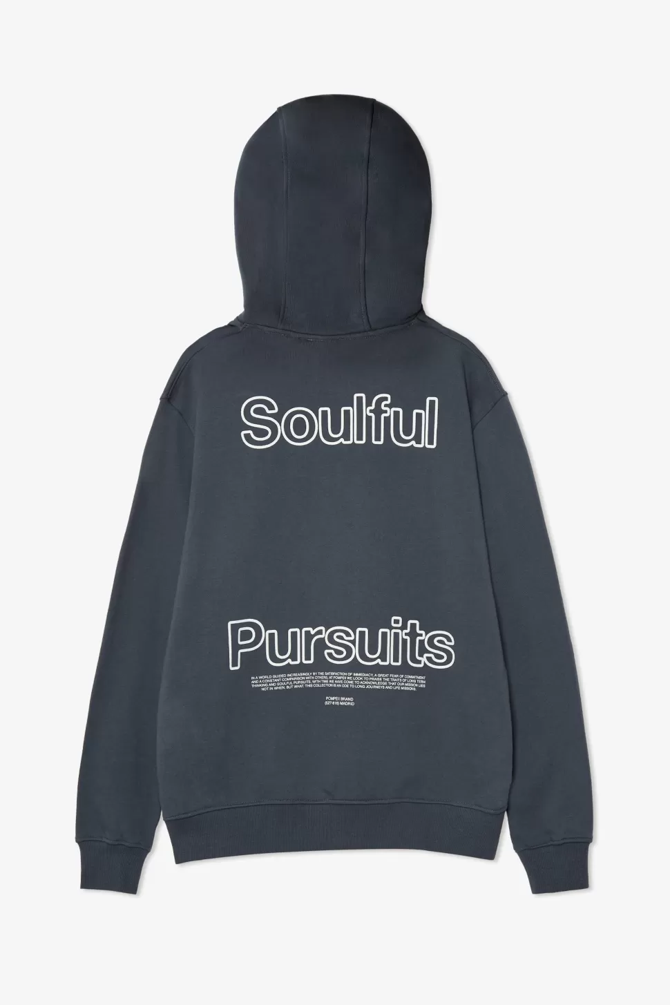 Sudaderas*POMPEII SOULFUL PURSUITS MINERAL HOODIE